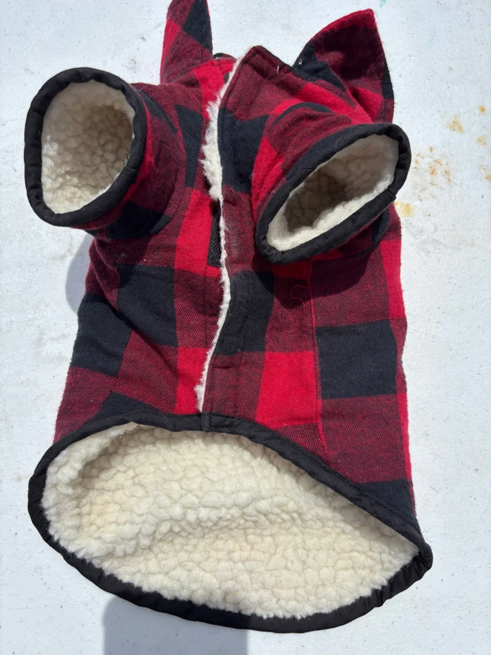 Red & Black Buffalo Plaid Woolrich Dog Coat with sunglasses